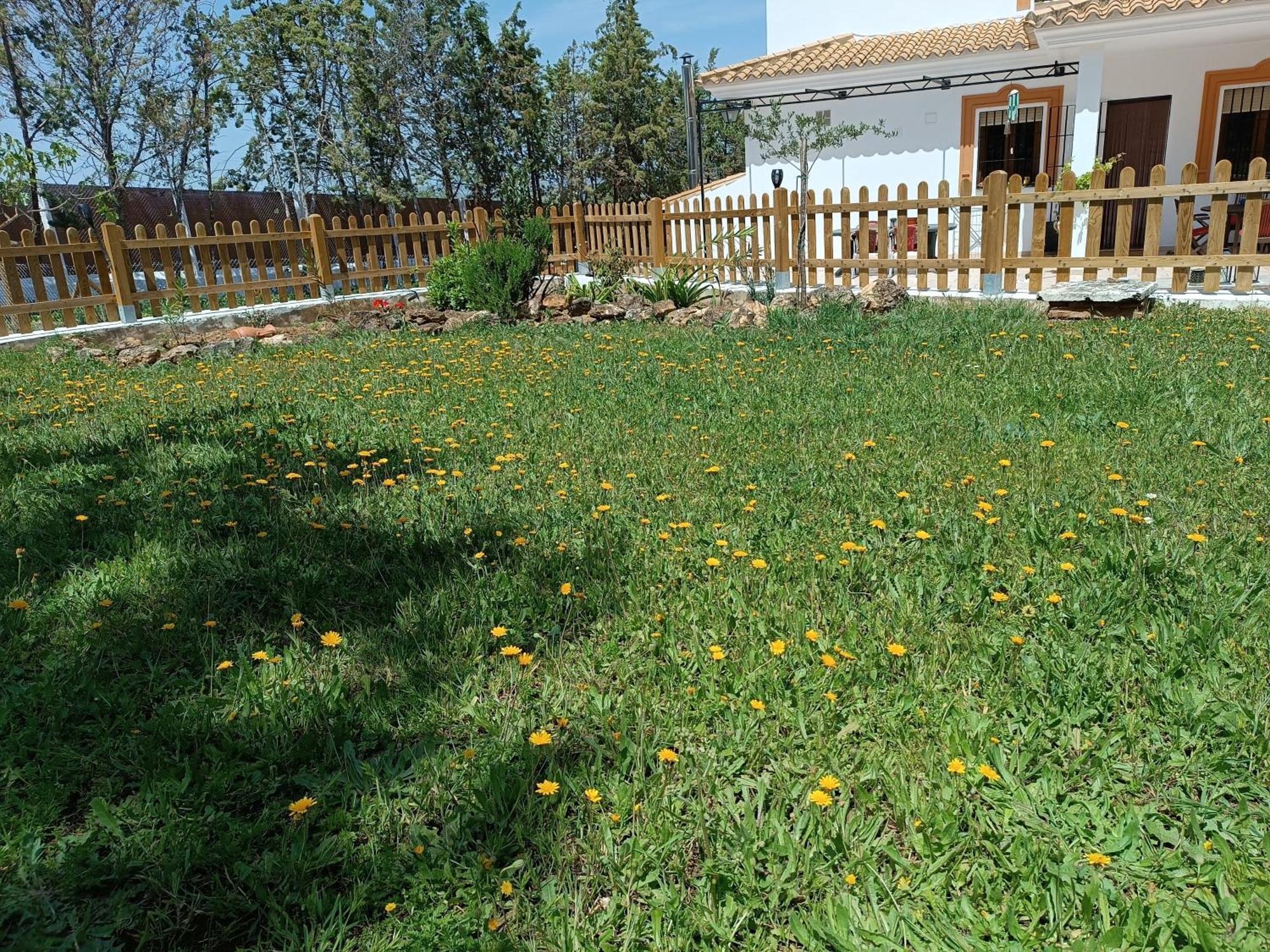 Casa Sierrecilla *