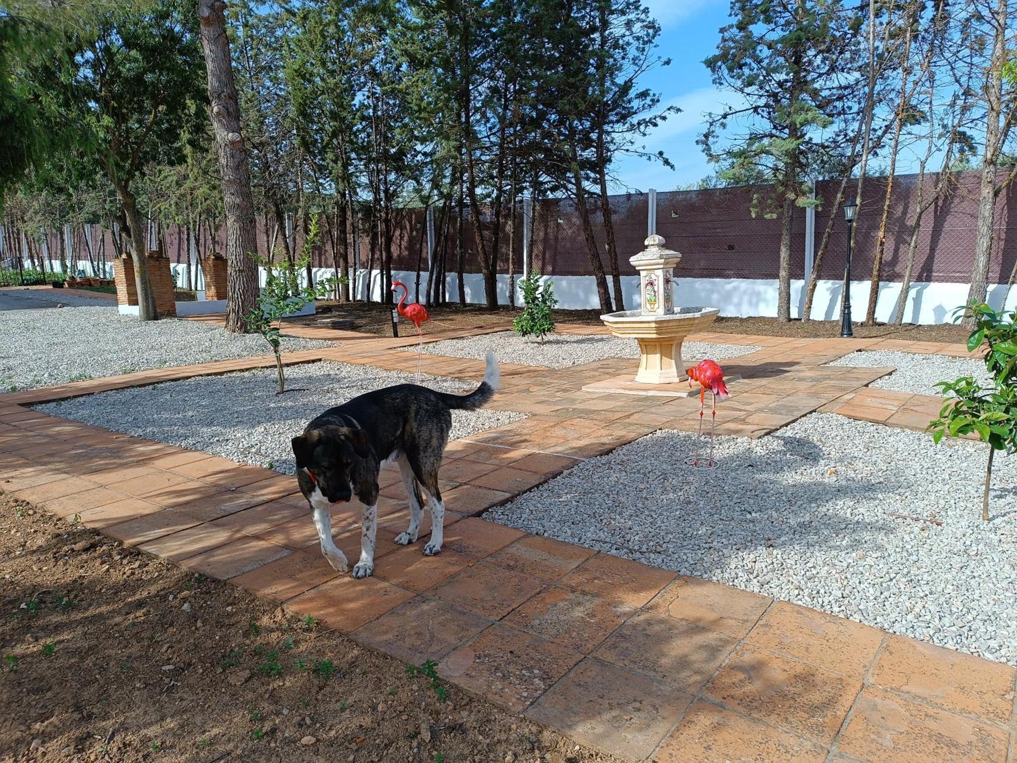 Casa Sierrecilla Homestay
